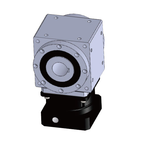 RTM-AS-CR中空軸帶鍵槽型式