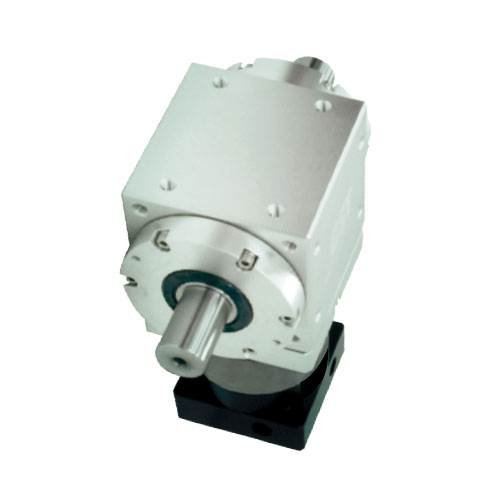 RXW-A-2P雙輸出軸型式